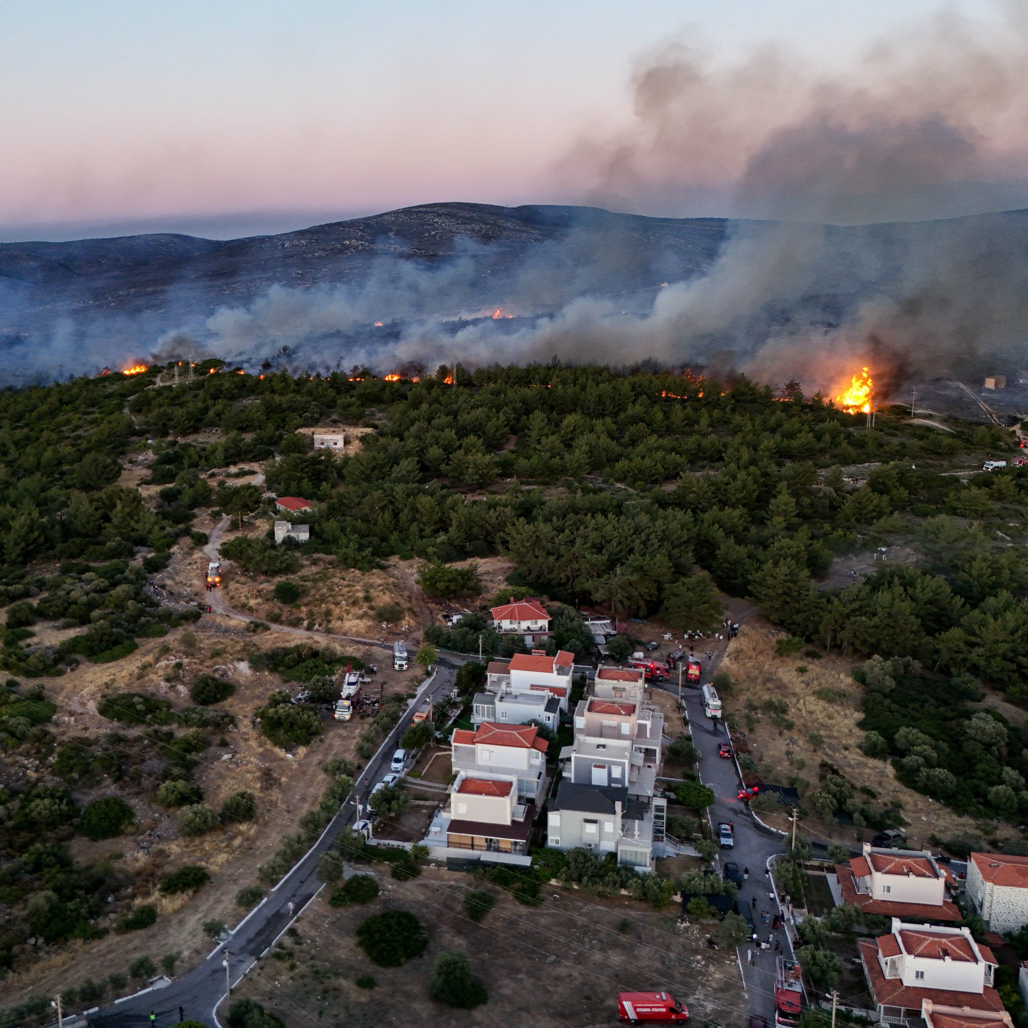 İzmir Buca’daki orman yangını kontrol altına alındı