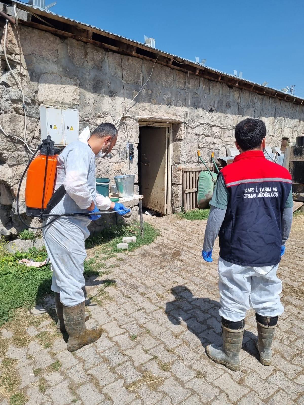 Kars'ta İlçe Tarım ve Orman Müdürlüğü ekipleri sahada: Yayıklı Köyü'nde dezenfeksiyon ve kontrol çalışması
