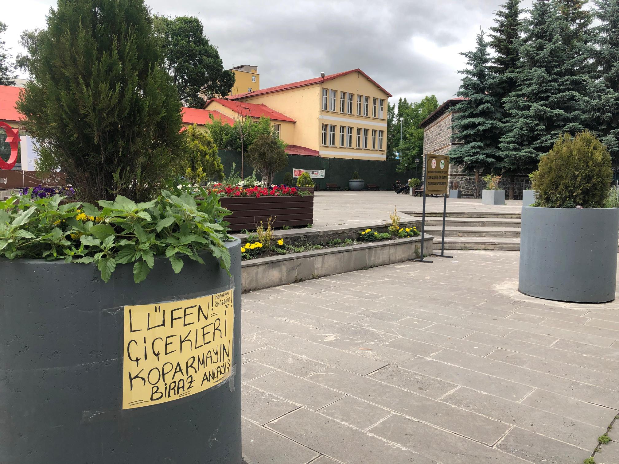 Duyarlı esnaftan anlamlı uyarı: “Koparan öküzdür, Lütfen çiçekleri koparmayın! biraz anlayış”
