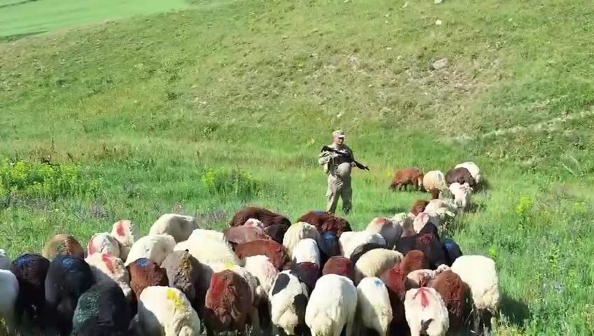 Kars'ta kaybolan 65 küçükbaş hayvan, aynı gün sahibine teslim edildi