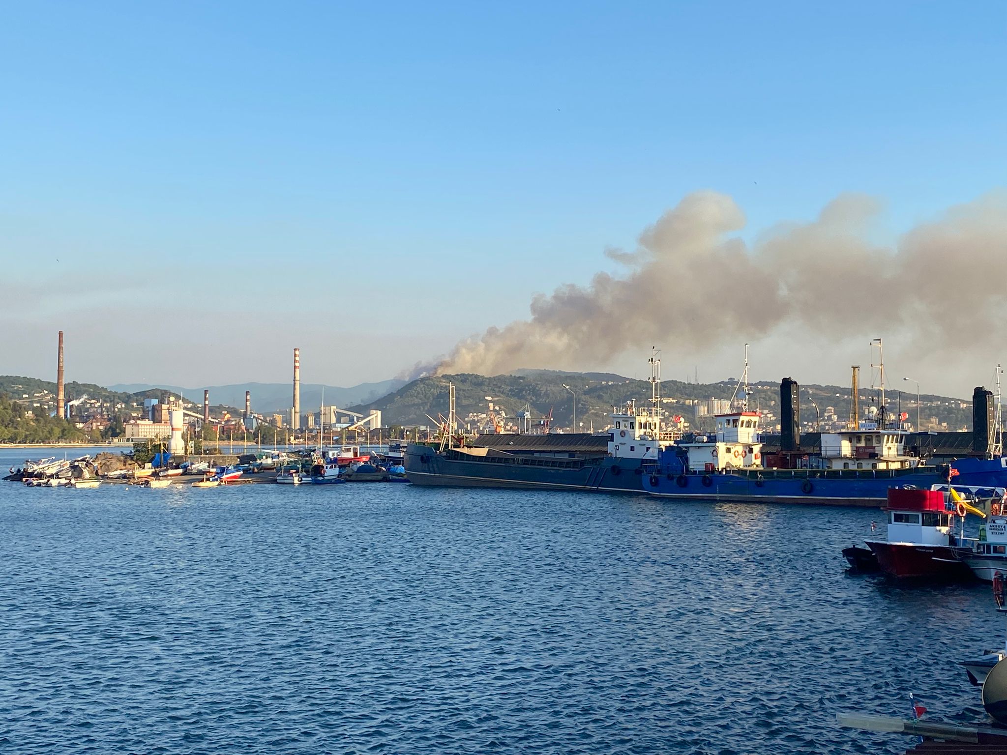 Karadeniz Ereğli'de orman yangını