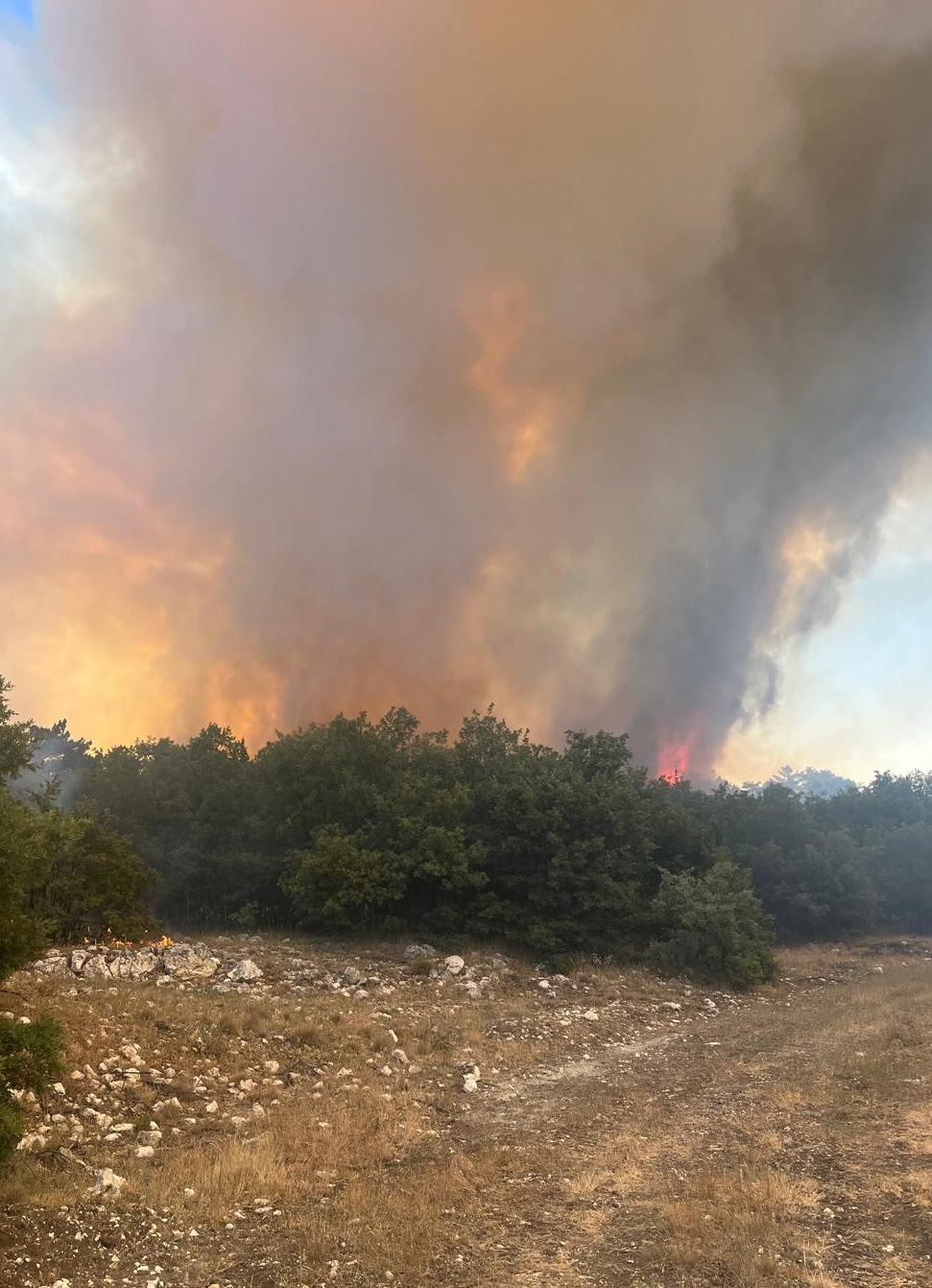 Sinop Durağan’daki orman yangını kontrol altına alındı