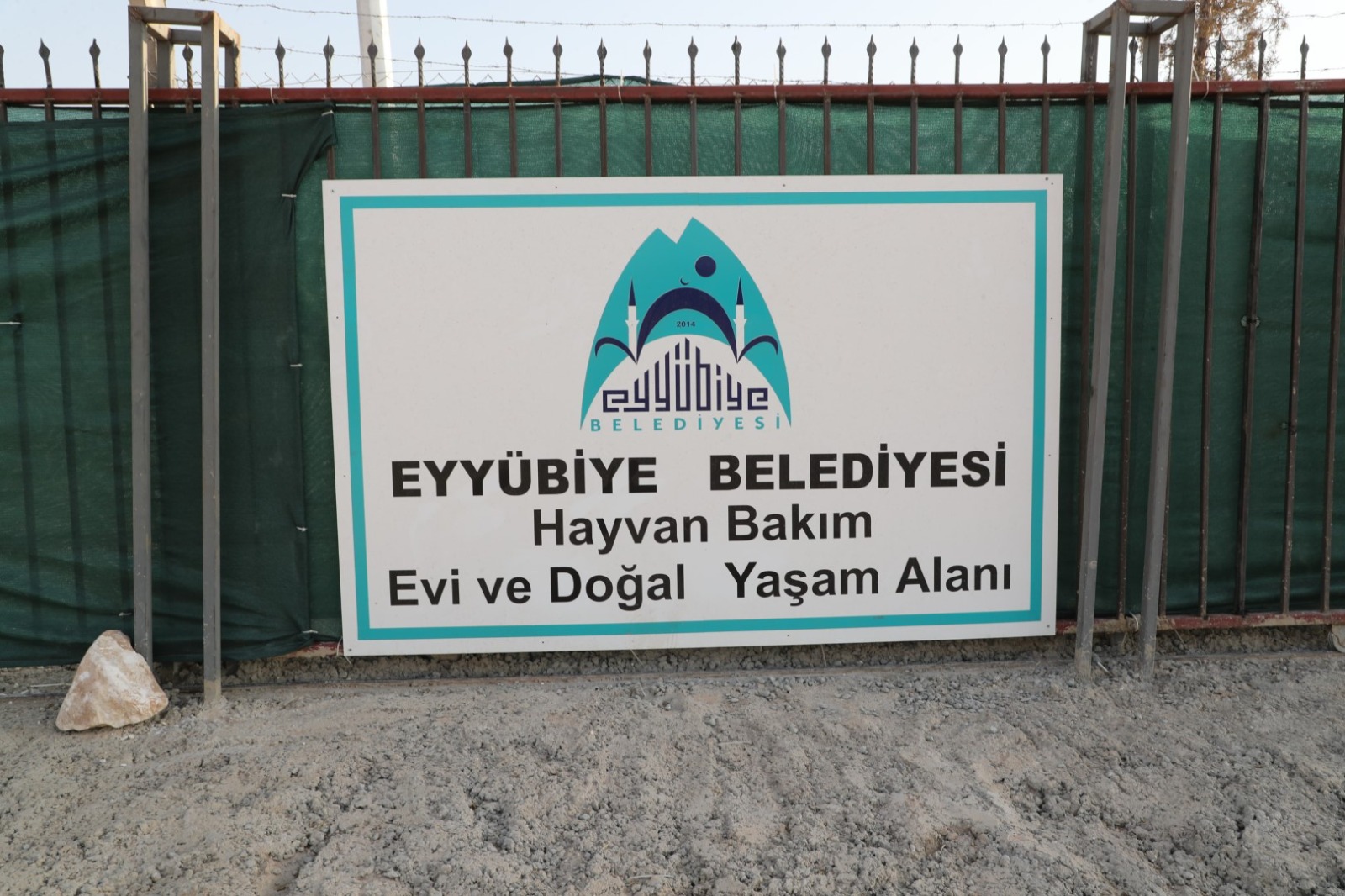Eyyübiye, sokak hayvanları sorununu çözdü