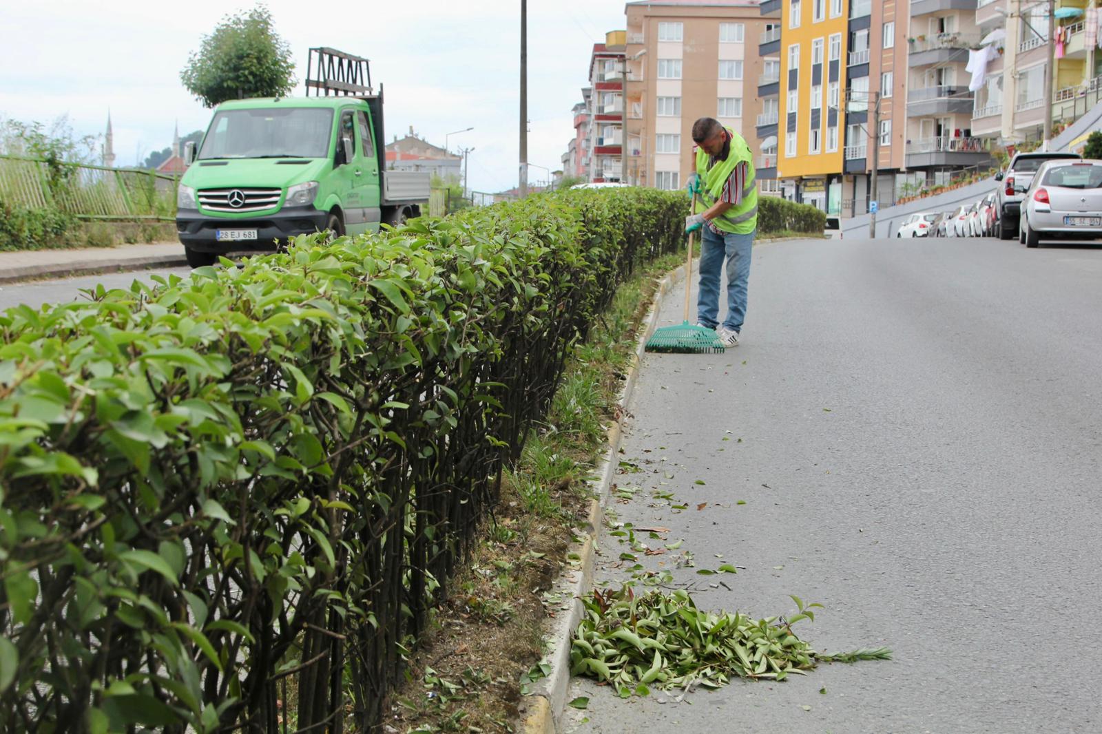 Giresun Belediyesi yeşili koruyor