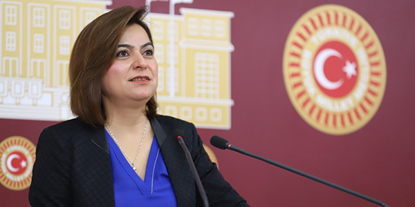 DEM Parti Grup Başkanvekili ve Kars Milletvekili Gülüstan Kılıç Koçyiğit, TBMM Başkanlığına bir soru önergesi sundu