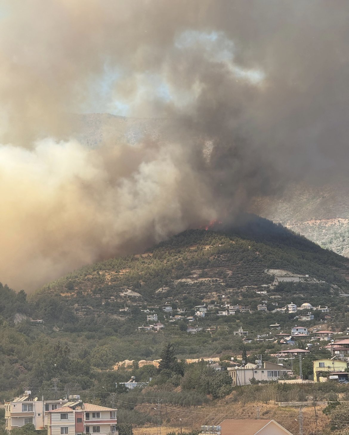 Hatay'da orman yangını