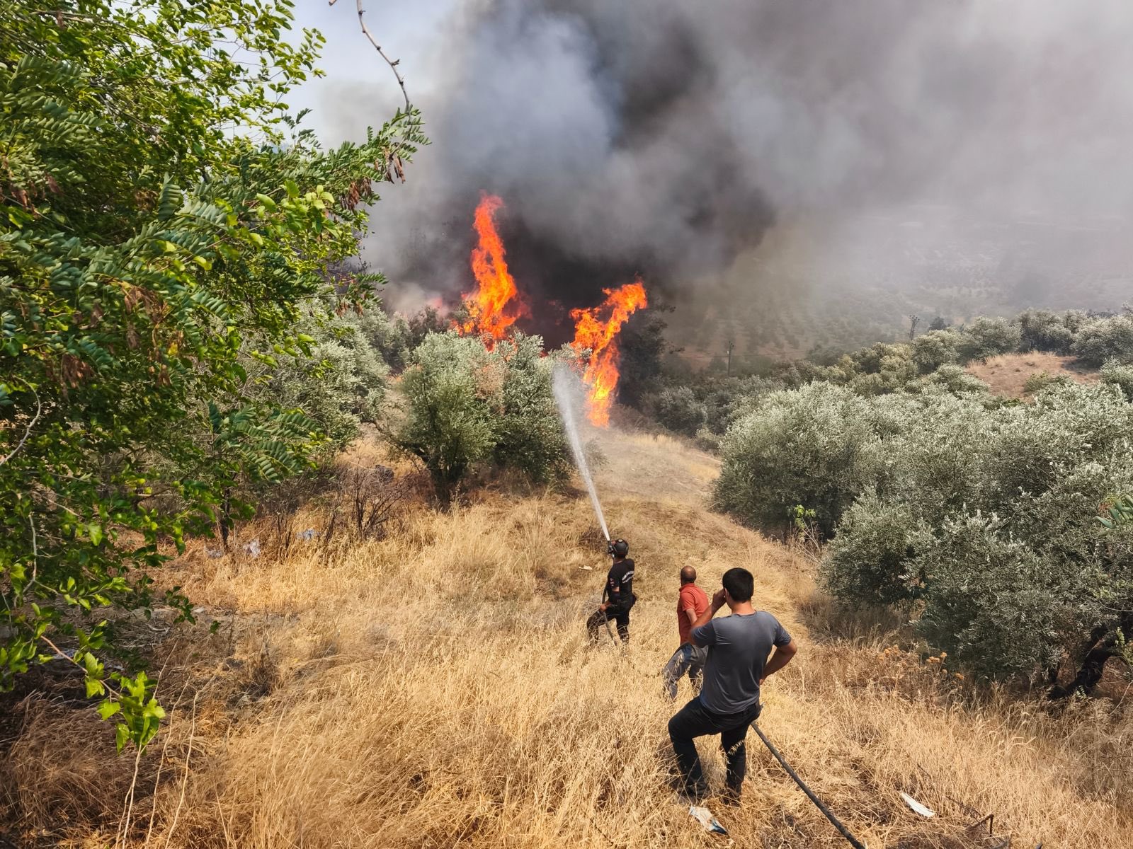 Hatay'da çıkan orman yangını kontrol altına alındı