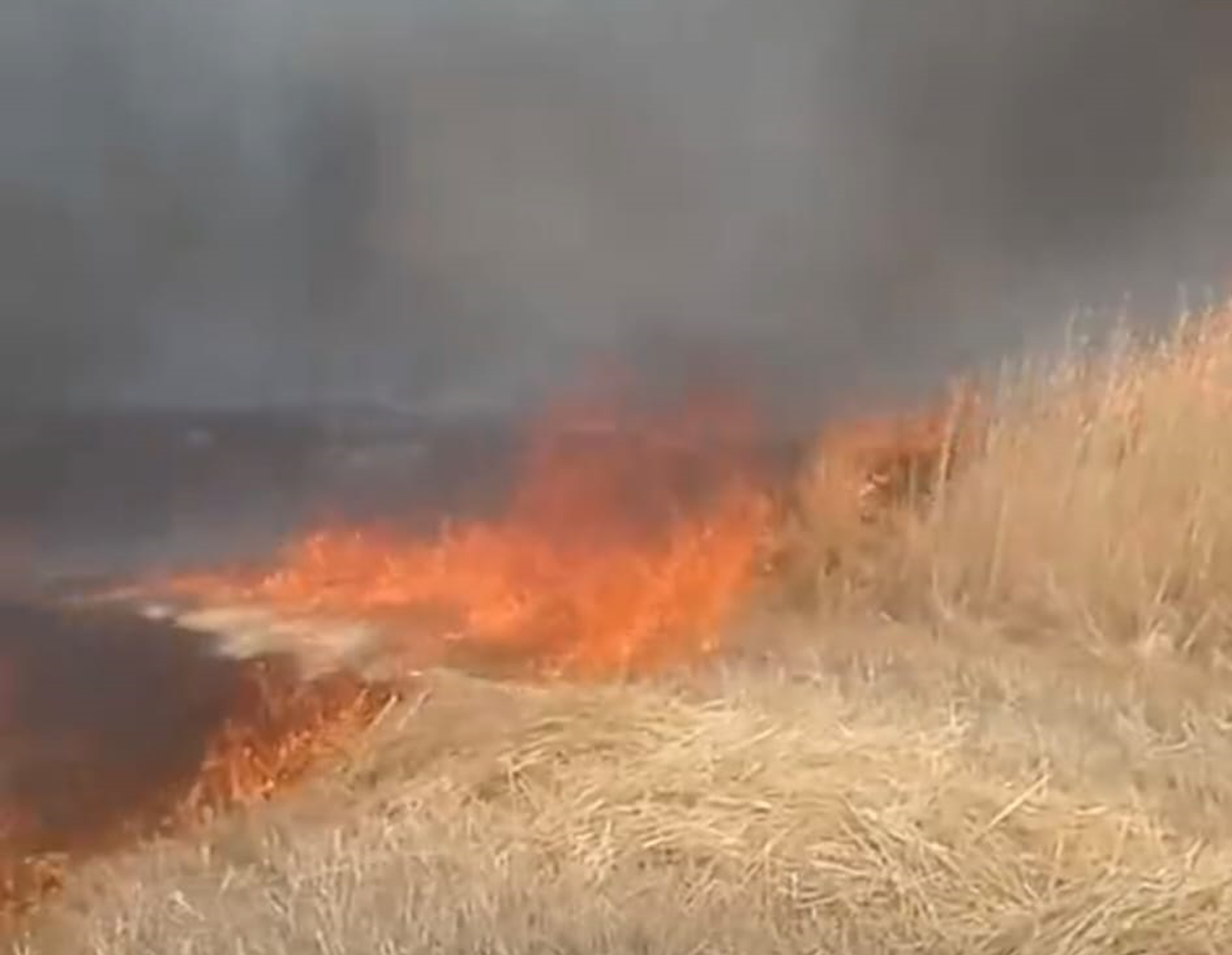 Beypazarı’nda anız ve sap yangını