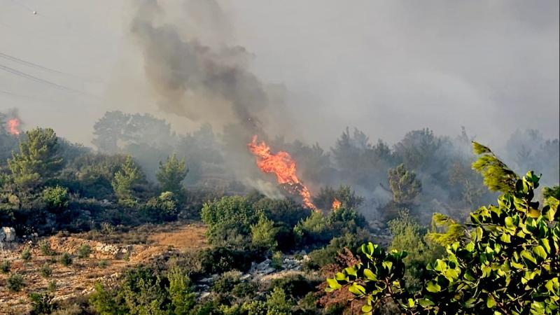 Dalaman’da otomobilden çıkan yangın ormana sıçradı: 3 dekar zarar gördü