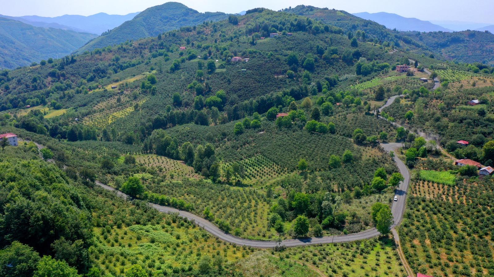 Ordu'dan Samsun'a bağlantı sağlayan yolda son düzlük