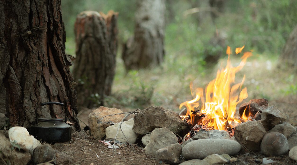 Sarıkamış Soğuksu Tabiat Parkı dışındaki ormanlık alanlara giriş-çıkışlar yasak