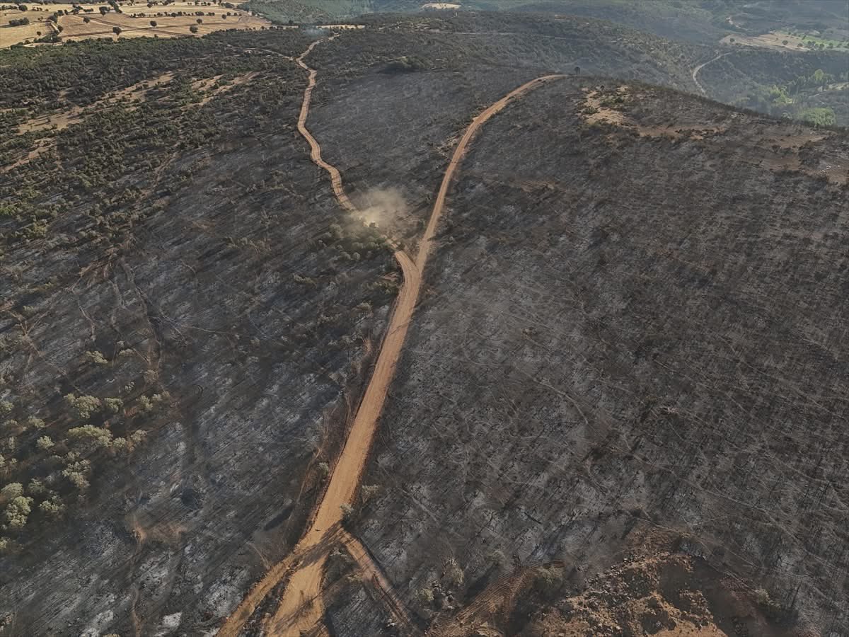 Uşak'taki yangının tahribatı görüntülendi: Türkiye'nin ciğerleri yandı