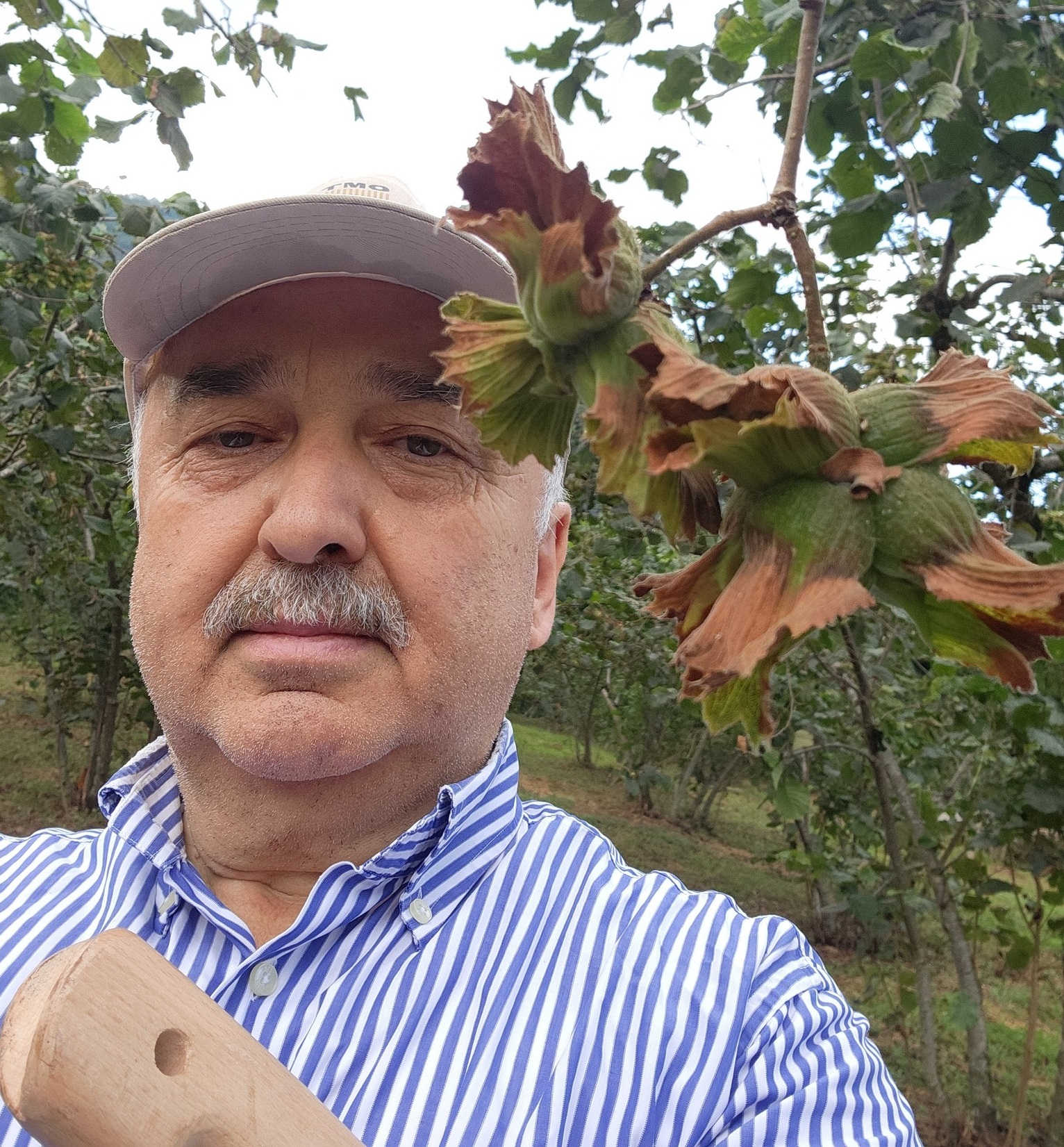 Giresun Milletvekili Ali Temür: Fındık emanet vermeyin