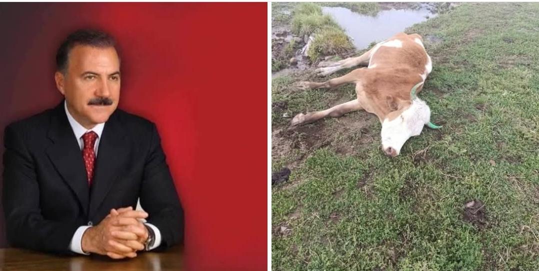 Kars Eski Belediye Başkanı Alibeyoğlu’ndan bağımsız hayvan hastalıkları araştırma enstitüsü çağrısı