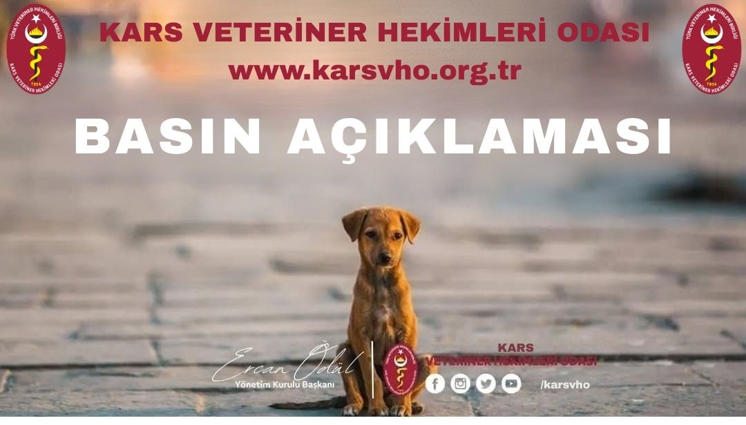 Kars Veteriner Hekimleri Odası; "Hayvanlara yönelik her türlü kötü muamele suçtur"