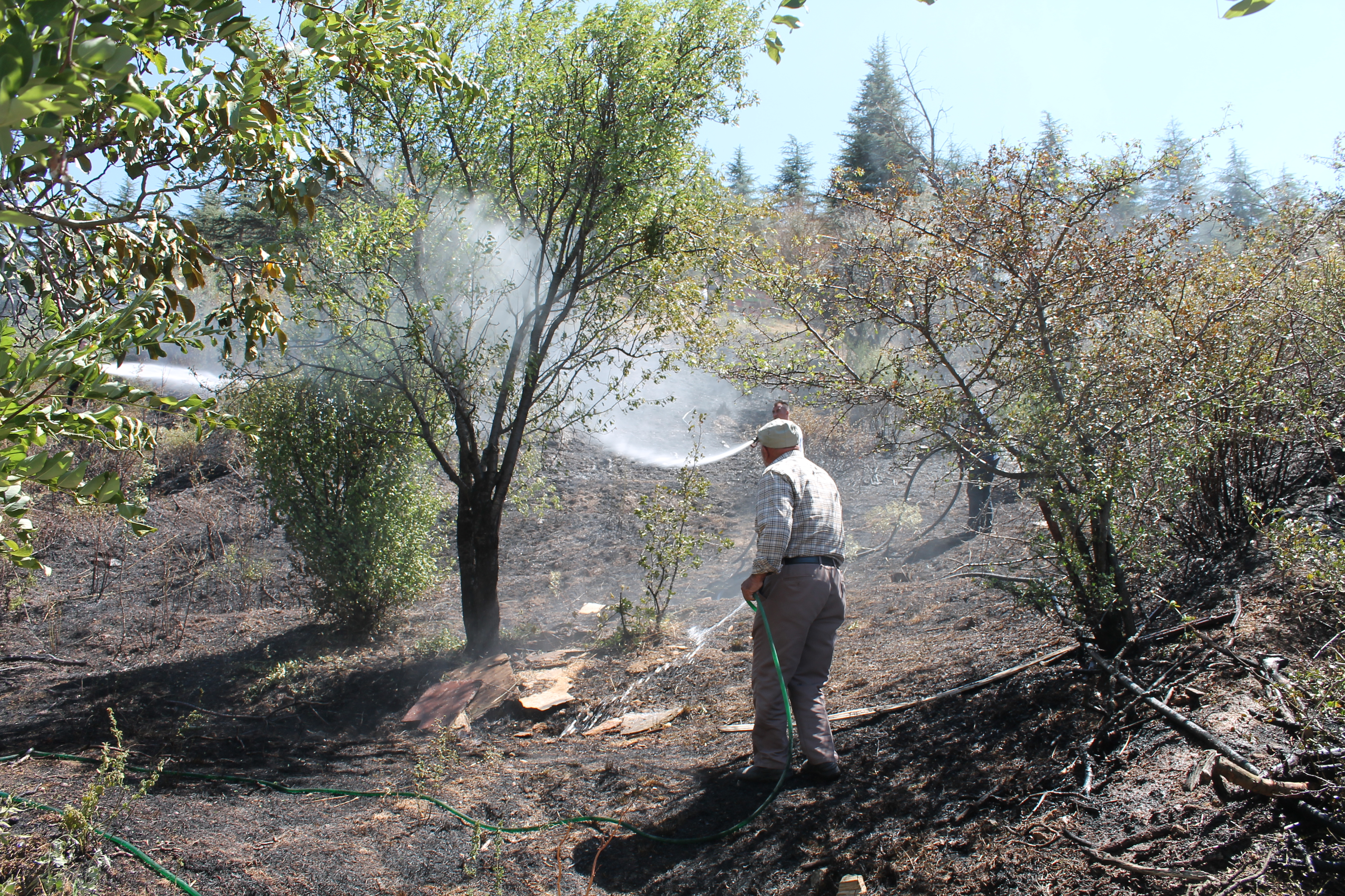 Afyonkarahisar Çay'da çıkan yangın söndürüldü