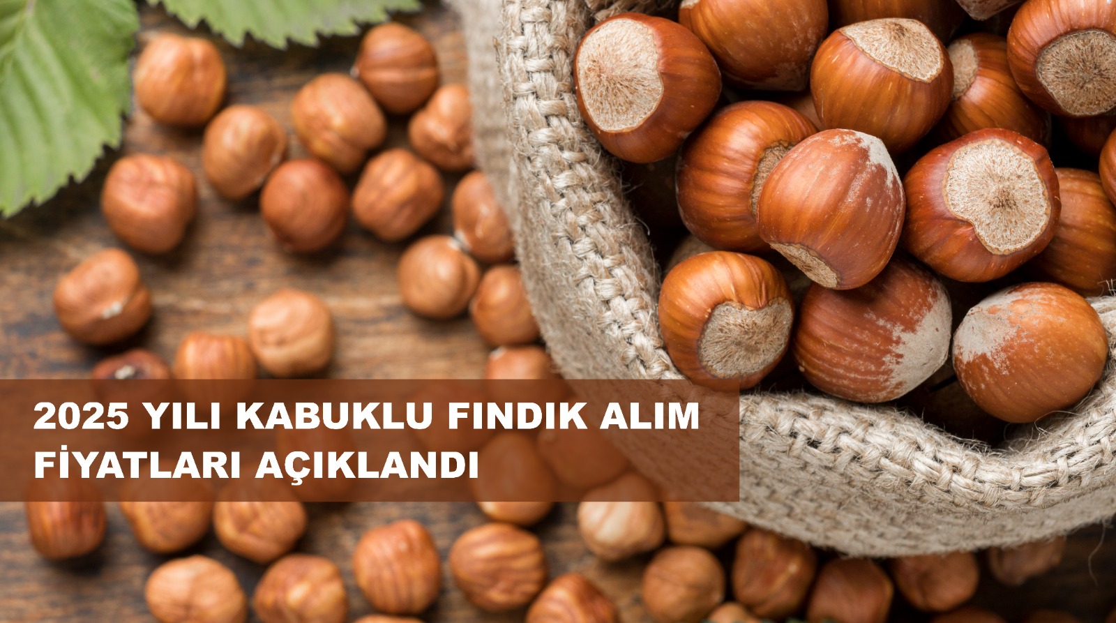 Fındık Taban Fiyatı Açıklandı; Fiyat 195 Lira...