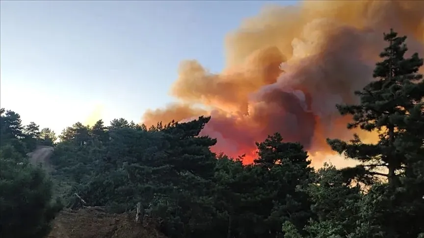 Manisa’da palet fabrikasında yangın çıktı