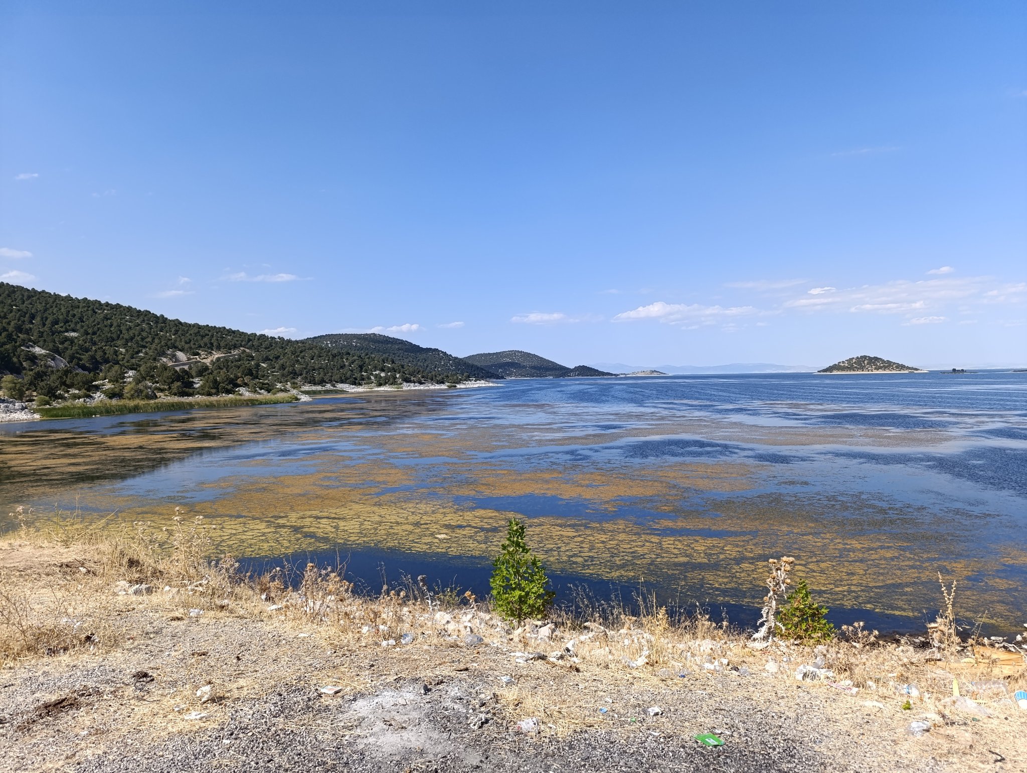Kırkkepenekli Göleti’nde su çekilmesi balık ölümlerine yol açtı