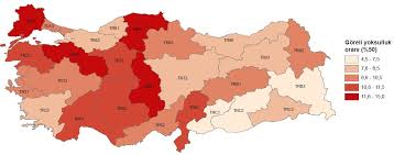 Türkiye'nin en yoksul ilçesi Giresun Çamoluk