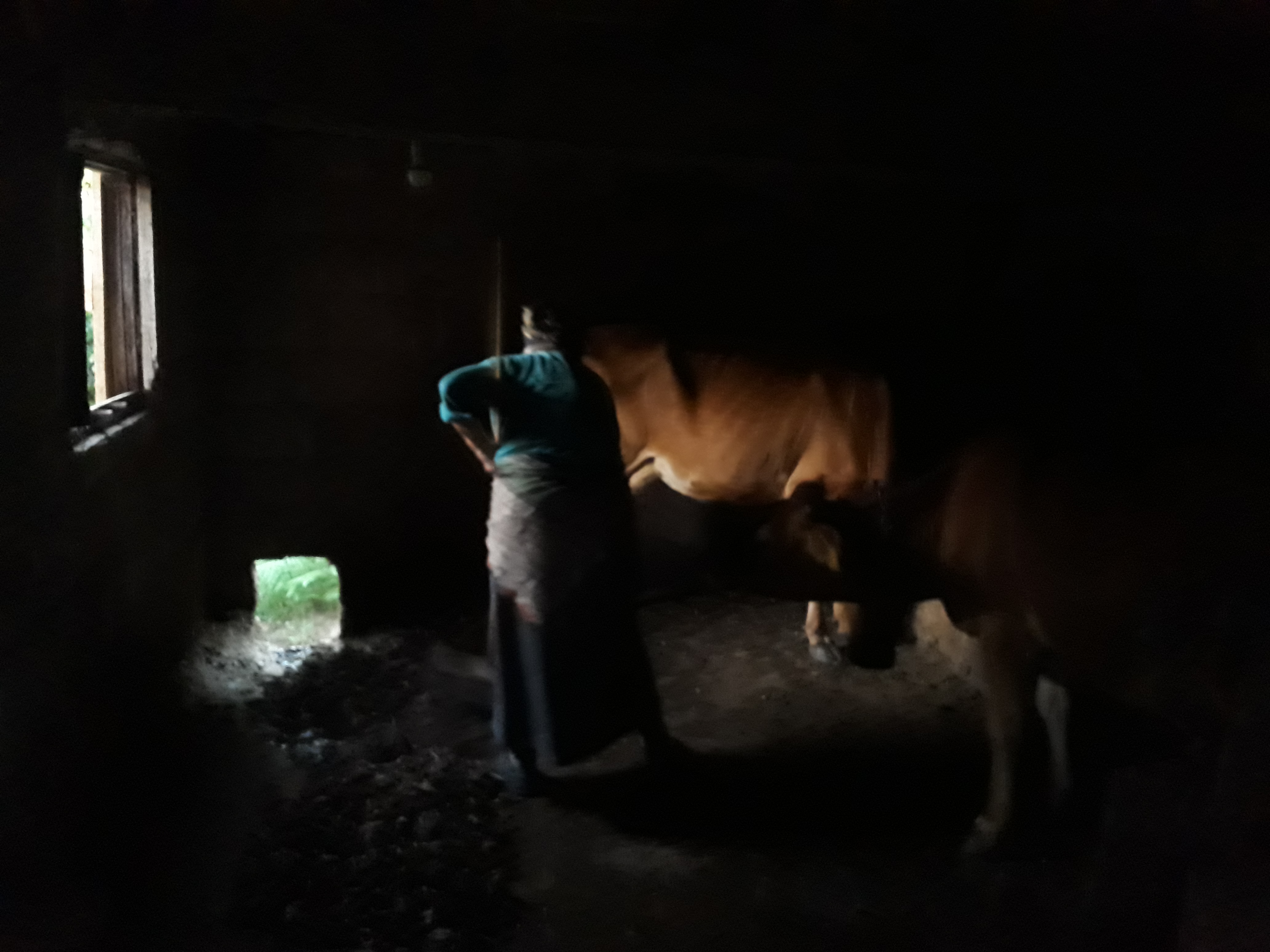 Karadeniz kadınının bitmeyen çilesi