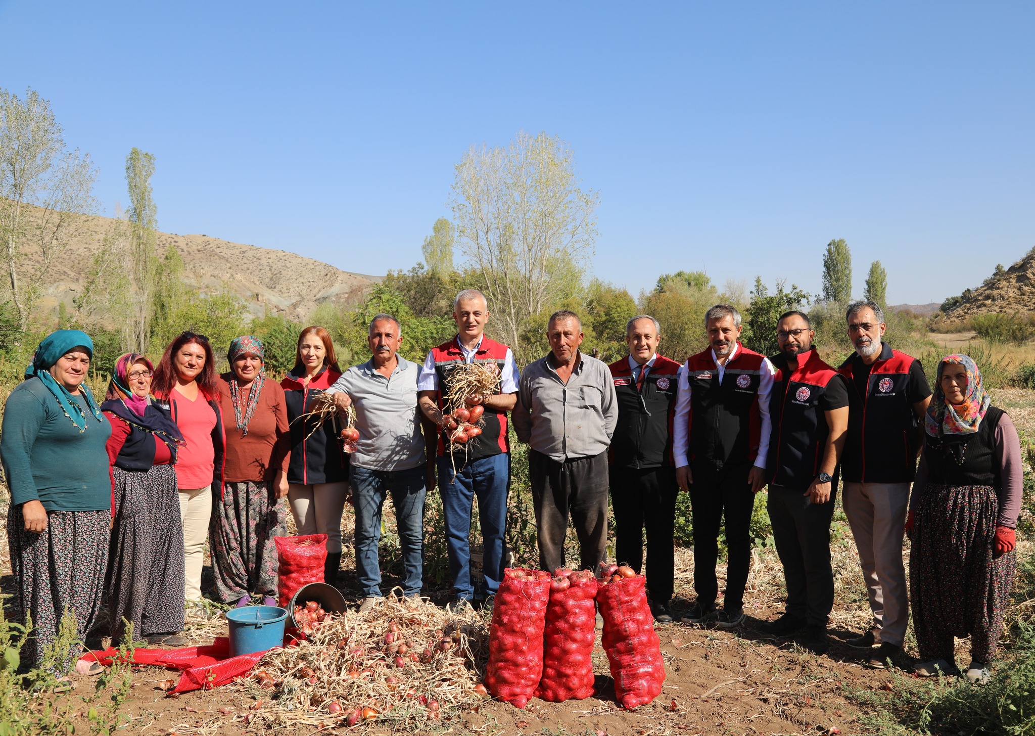 Kılıçlar Soğanında verim üreticiyi sevindirdi
