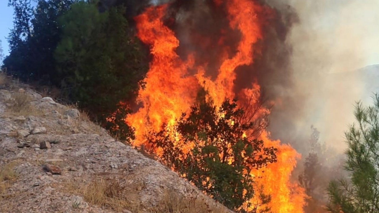 Balıkesir Sındırgı’da orman tangını: Ekipler seferber oldu