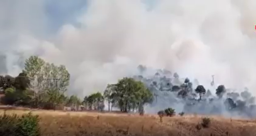Sivas’ın Zara ilçesinde ağaçlık alanda yangın çıktı