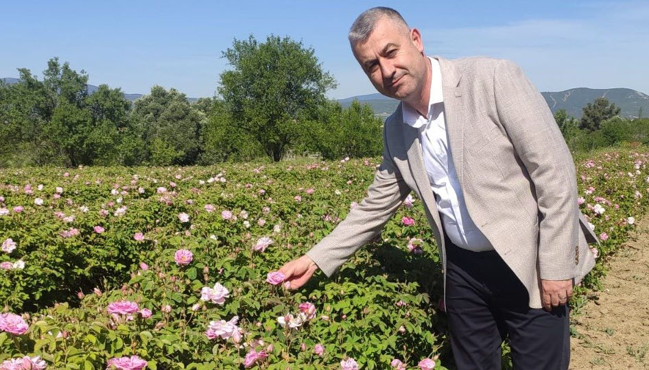 Gül üreticisinin meraklı bekleyişi sona erdi