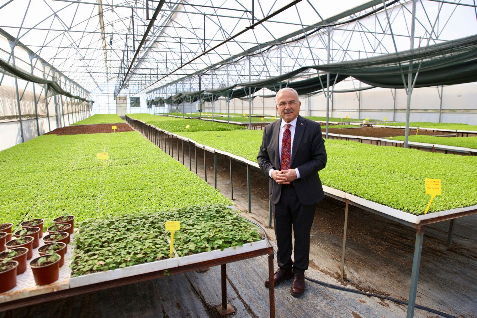 400 Bin kışlık sebze fidesi dağıtıma hazır