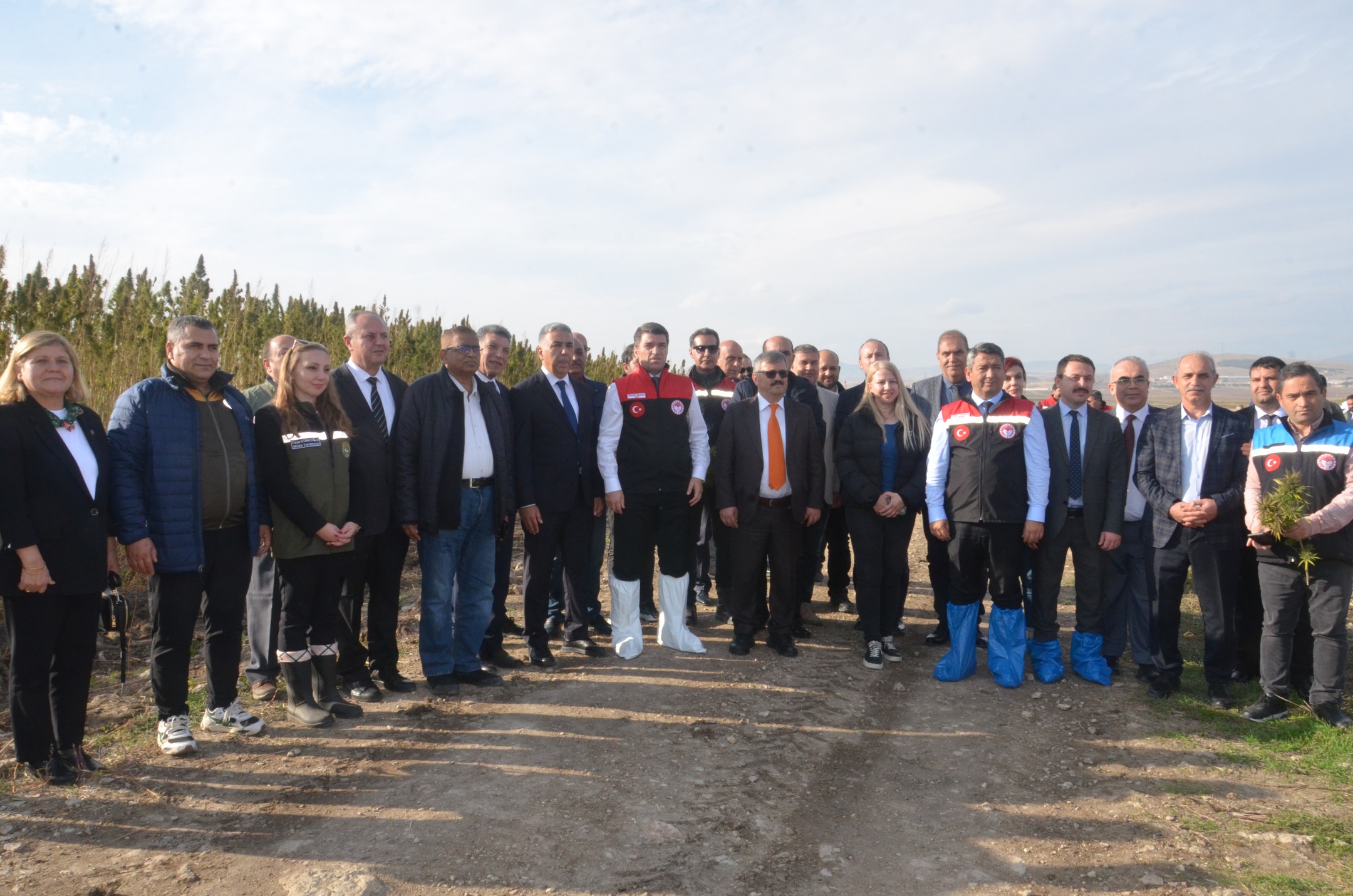 Türkiye’nin ilk yerli ve milli "Vezir Kenevirinin" hasadı Amasya’da gerçekleştirildi