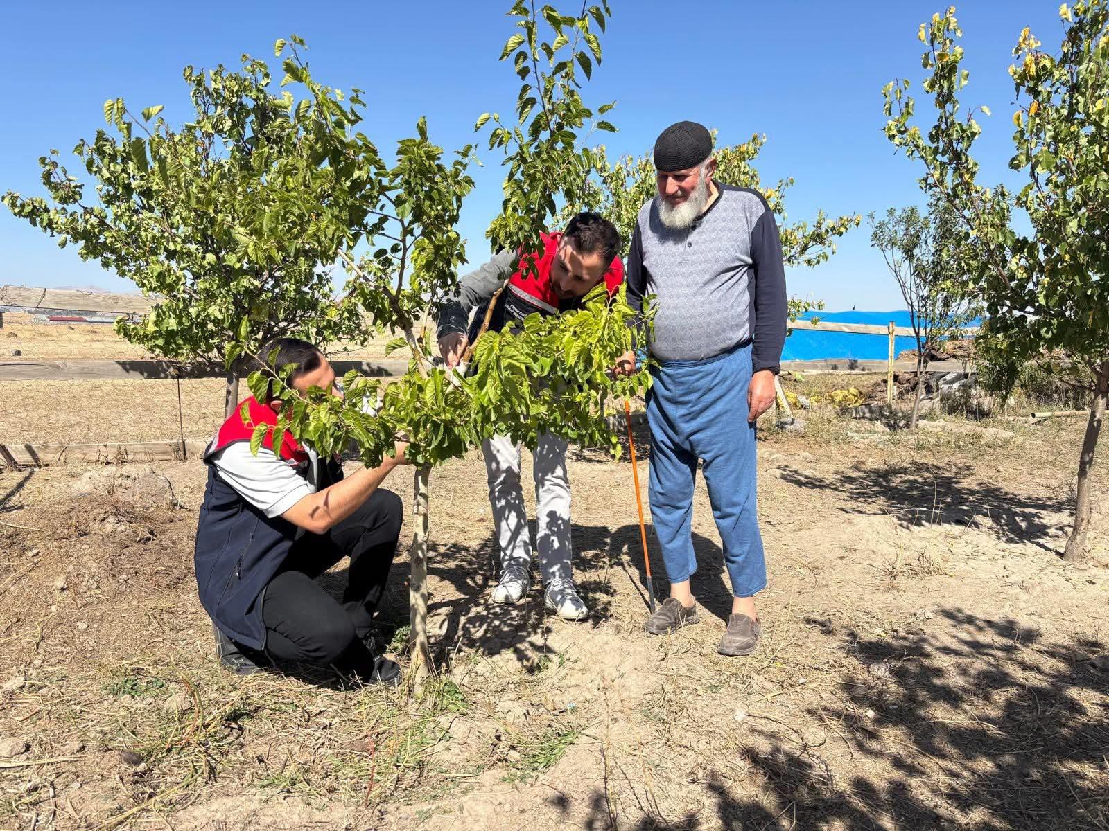 Bacalı Köyü'nde durgun T göz aşısı uygulaması ve takip çalışmaları yapıldı