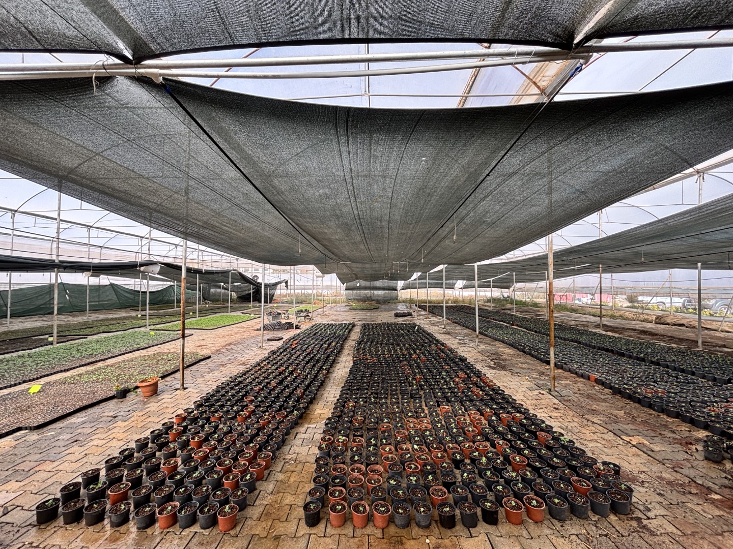 Sera kent üretiyor Eyyübiye kazanıyor