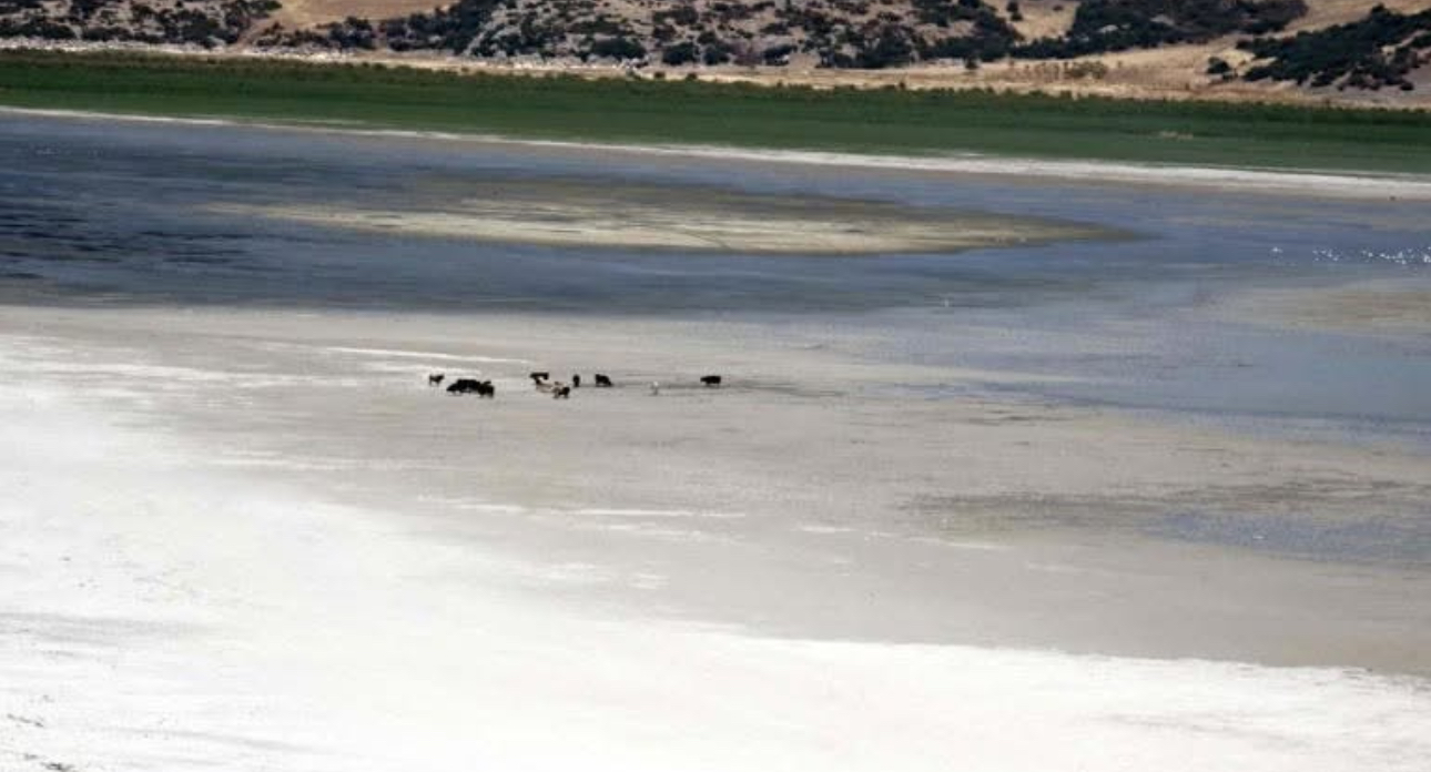 Isparta Eğirdir gölü doğanın insafına kaldı
