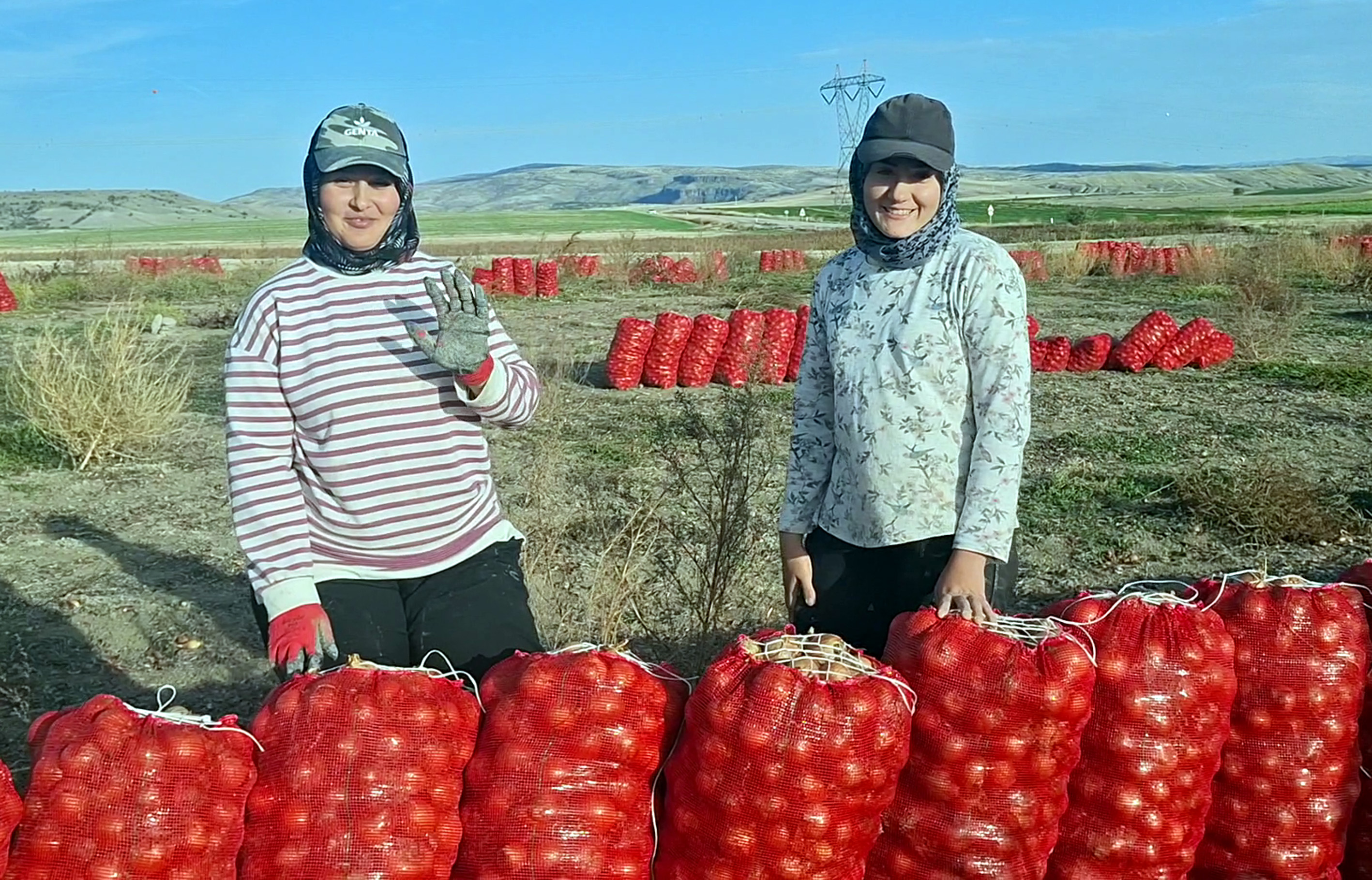 Beypazarı’nda soğan üreticisi tarlada 5 TL ile geçim derdinde