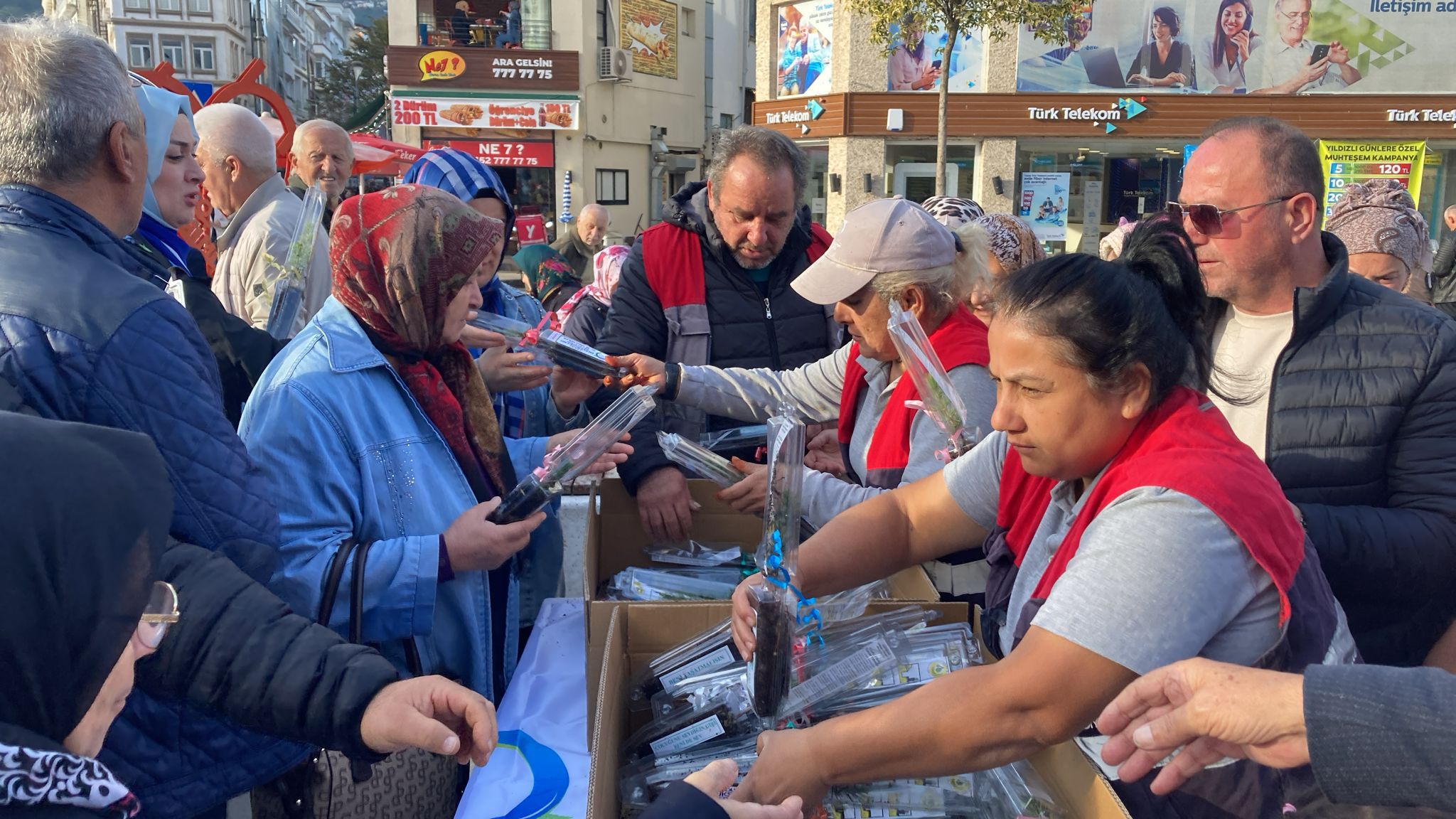 Ordu'da 2 bin adet fidan toprakla buluştu