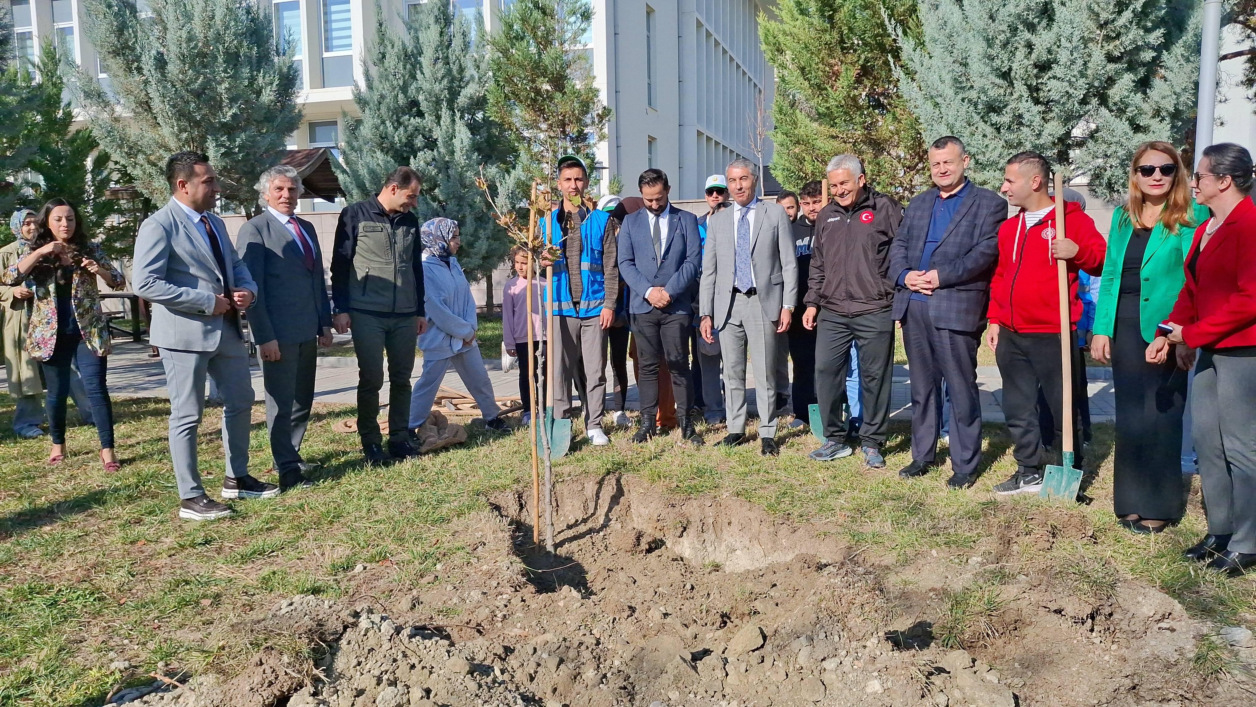 Beypazarı, Güdül ve Ayaş İlçelerinde eş zamanlı dikimi