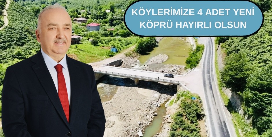 Milletvekili Ali Temür köprü ve yolların yapılacağını açıkladı