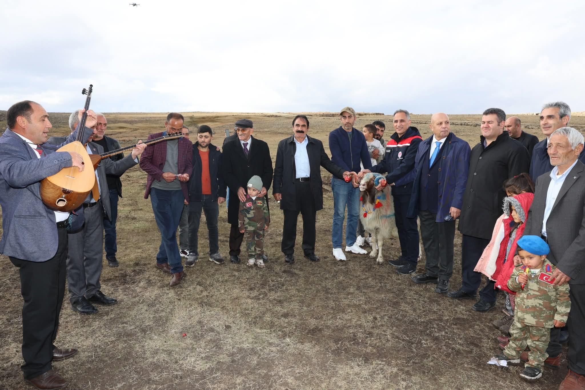 Kars'ta "Koç Katım Geleneği" coşkuyla sürdürülüyor