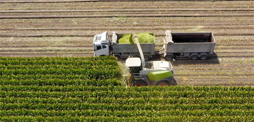 306 milyon liralık tarımsal destekleme ödemesi gerçekleşt