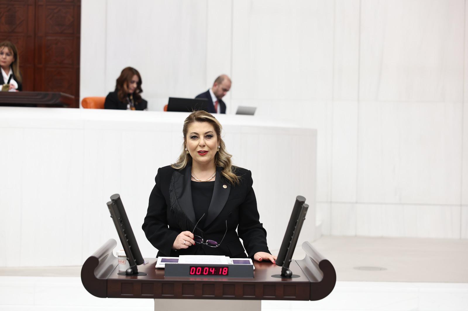 Elvan Işık Gezmiş Giresun'un ulaşım sorunlarını sordu