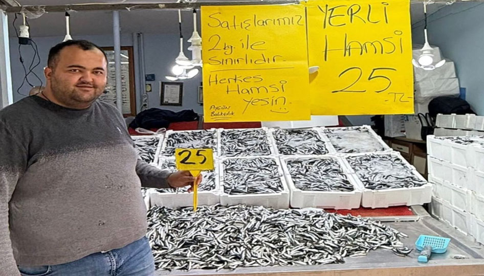 Fatsa’da hamsi fiyatı 20 TL’ye düşebilir