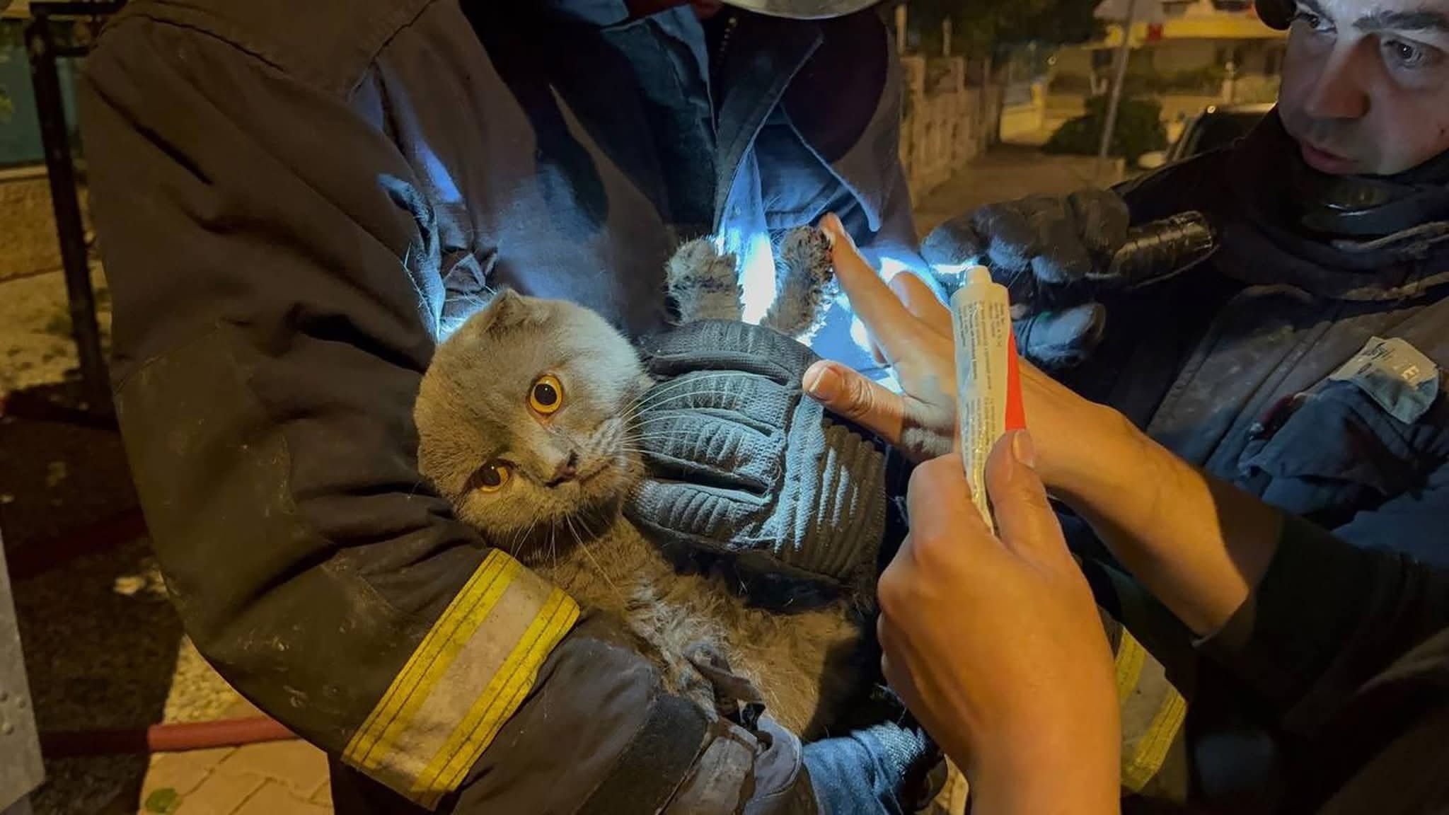 Yangında anne, oğlu ve kedisi yaralandı