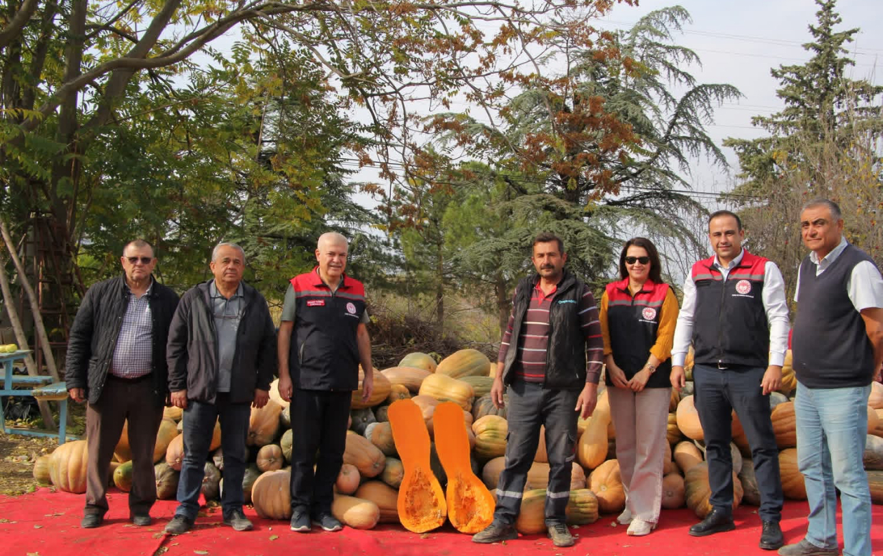 Isparta’da bal kapağı sezonu bereketli başladı