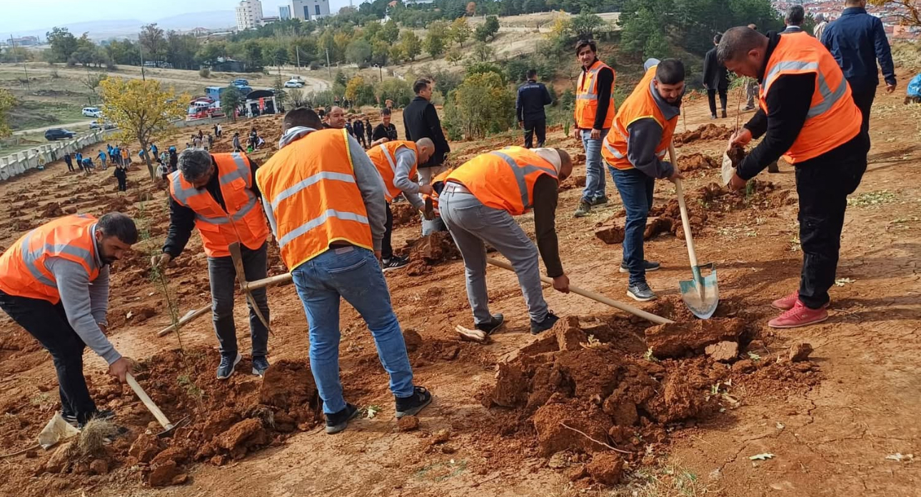 “Her Yalvaçlı için bir fidan” projesinde ilk fidan toprakla buluştu