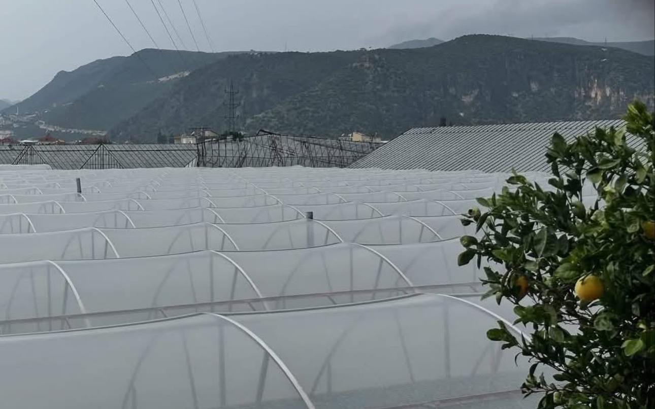 Antalya Demre’de hortum seraları vurdu
