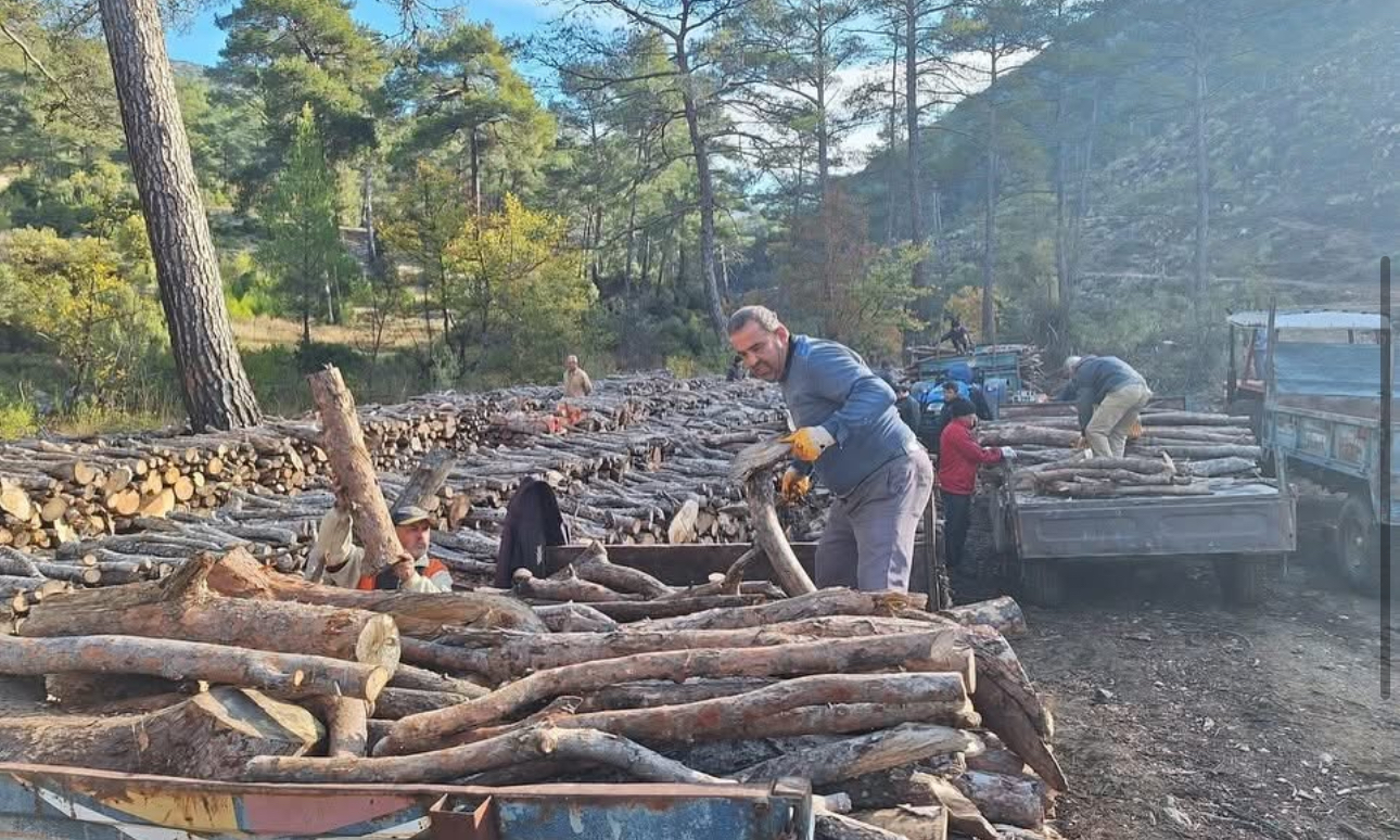Sarıbelen’de yakacak odun dağıtımı tamamlandı