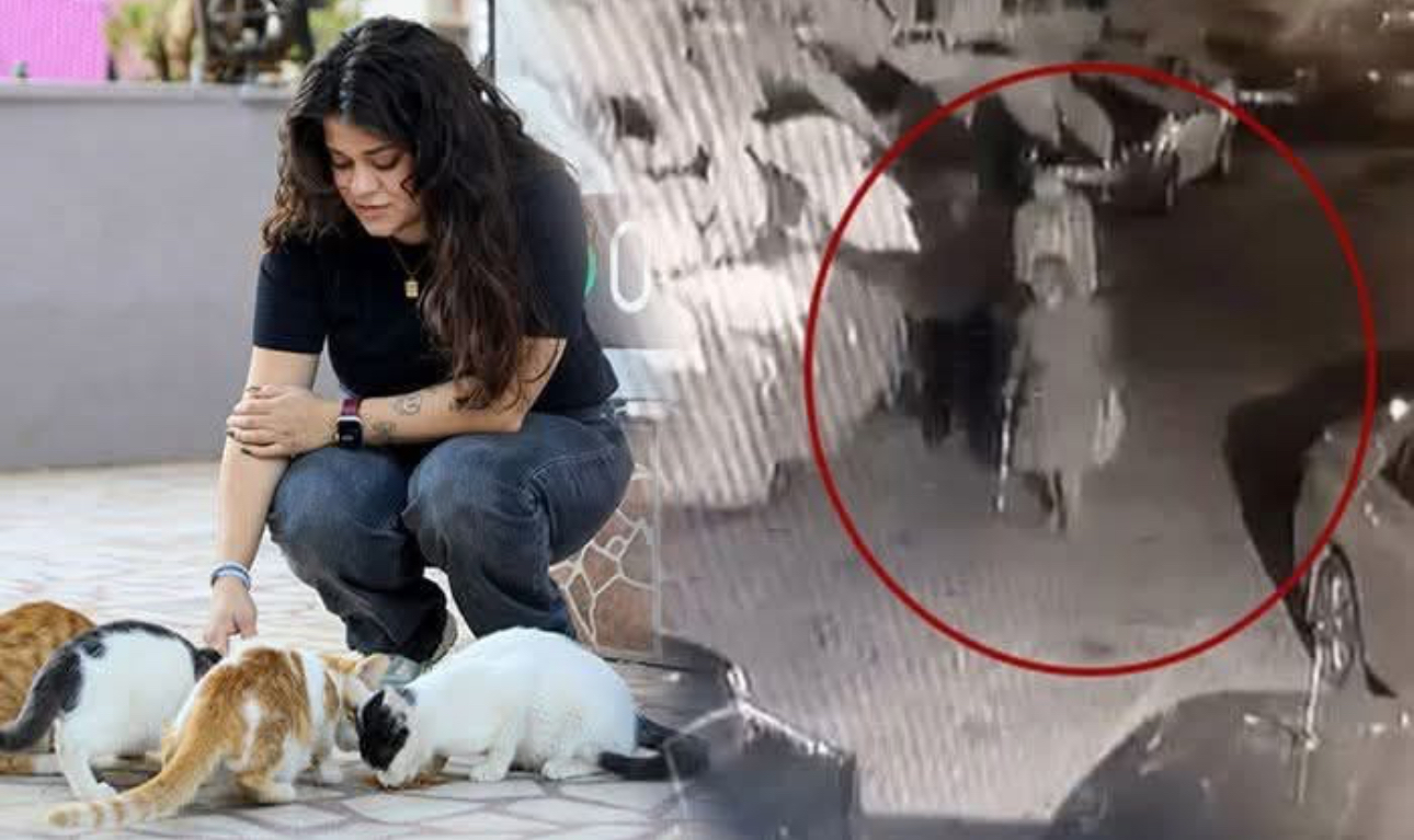 Antalya’da kediye bastonla saldırı iddiası