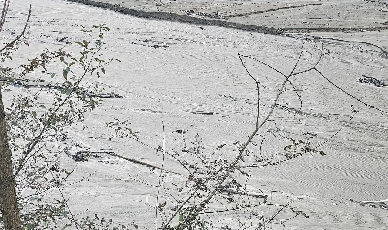 Harşit Çayı'nda tehlike çanları çalıyor