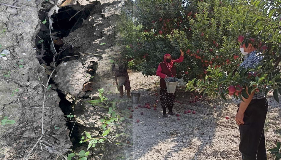 Eğirdir’de elma bahçesinde obruk oluştu